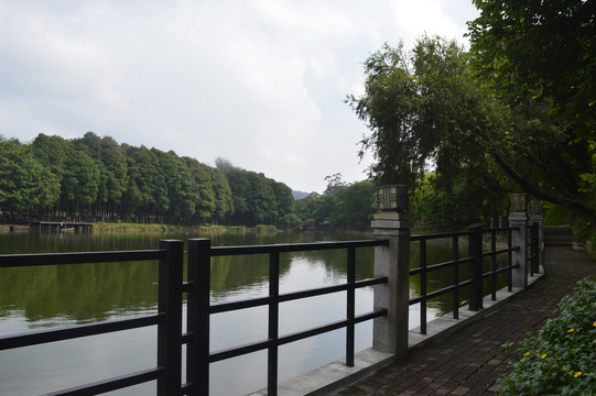 麓湖公园