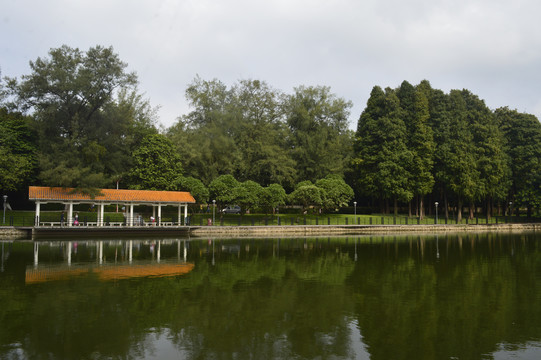 麓湖公园