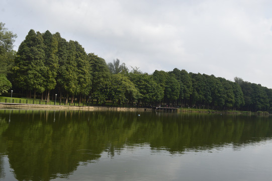 麓湖公园