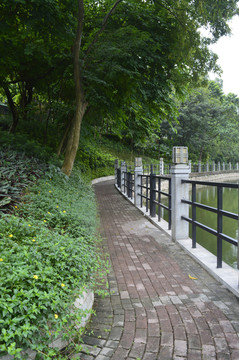 广州麓湖公园人行道