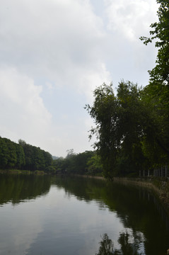 麓湖公园