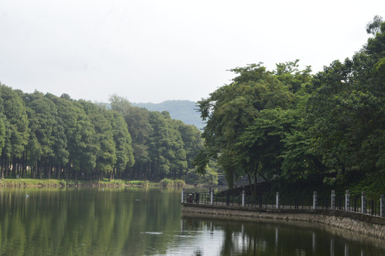 麓湖公园
