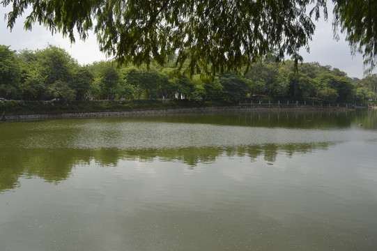 广州麓湖公园