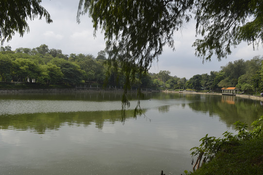 广州麓湖公园