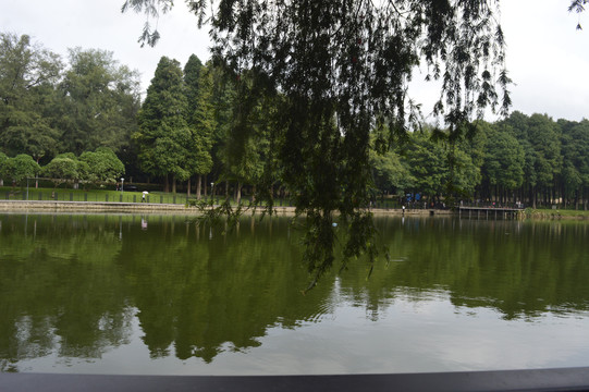 麓湖公园