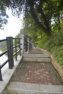 麓湖公园人行道