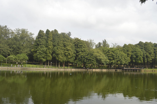 麓湖公园