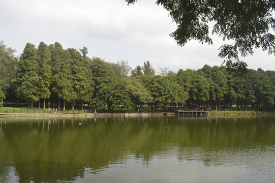麓湖公园