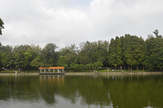 麓湖公园湖泊美景