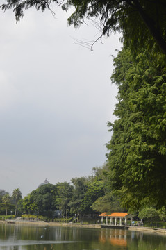 麓湖公园