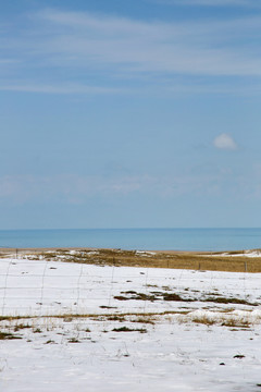 青海湖草场雪景