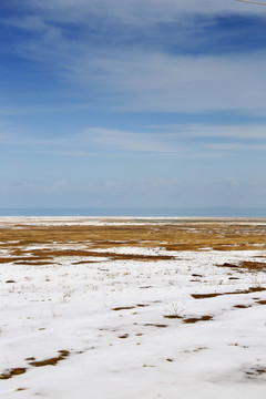 青海湖牧区雪景