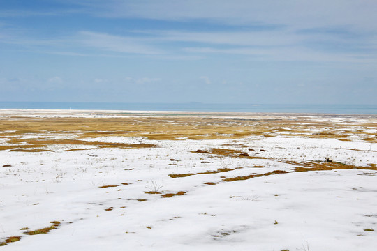 青海湖草场牧场雪景