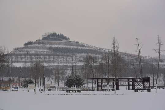 雪天