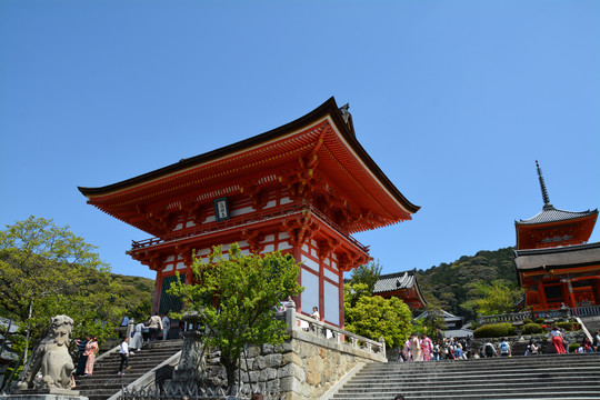 日本清水寺