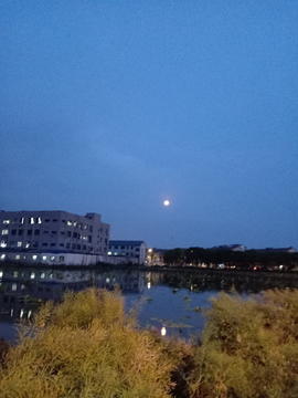 夜空