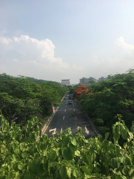 美丽的公路绿化景观