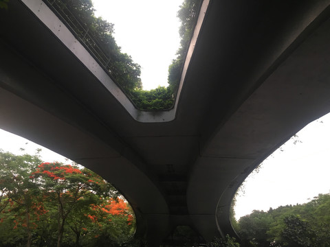 仰拍人行天桥