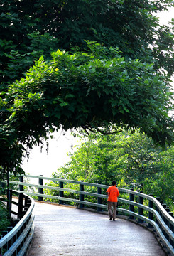 重庆虎头岩公园步道