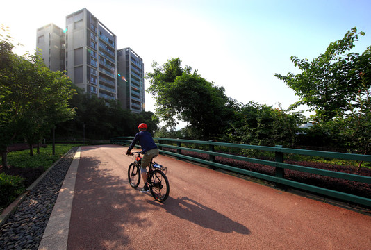 重庆虎头岩公园自行车道