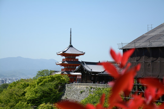 日本清水寺