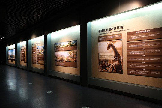 大庆博物馆展示