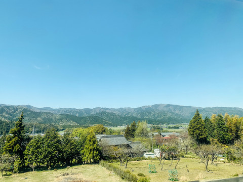 蓝天下的新农村农场