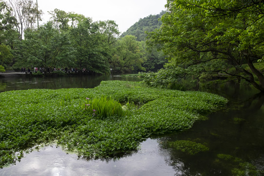 贵阳花果园小车河湿地公园