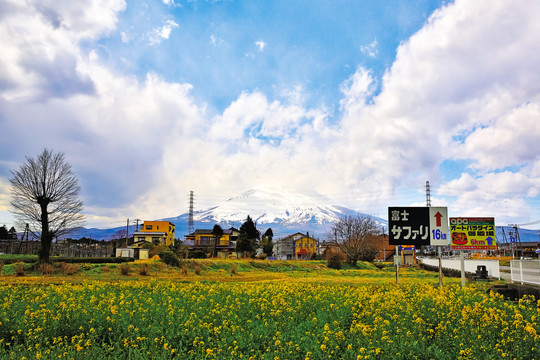 富士山