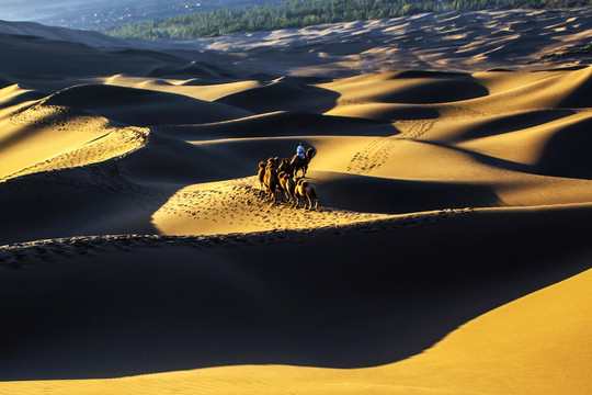 新疆金色沙漠