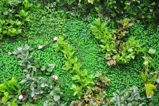 仿真花植物墙