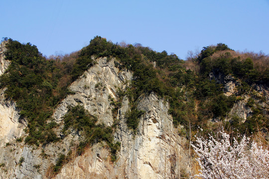 神龙架