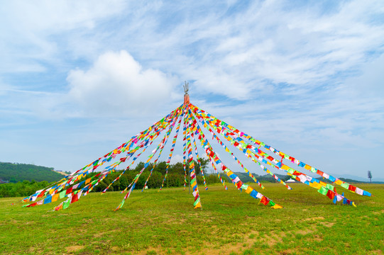 湖北武汉木兰草原风景区初夏风光