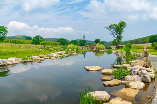 湖北武汉木兰草原风景区初夏风光