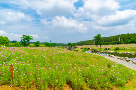 湖北武汉木兰草原风景区初夏风光