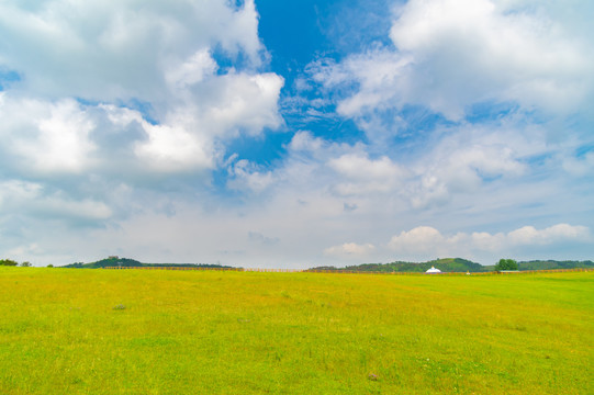 湖北武汉木兰草原风景区初夏风光