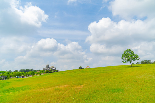 湖北武汉木兰草原风景区初夏风光