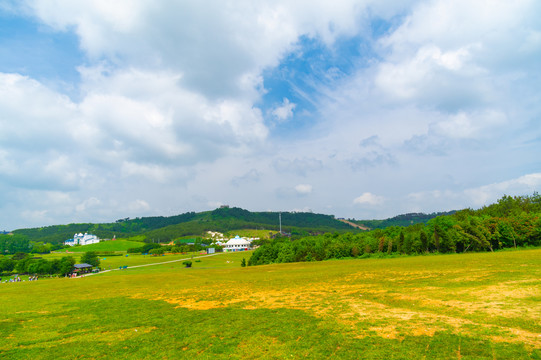 湖北武汉木兰草原风景区初夏风光