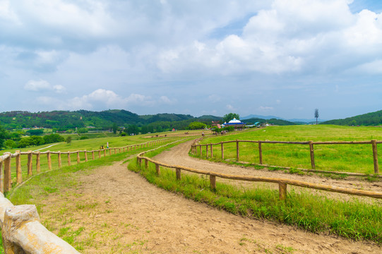 湖北武汉木兰草原风景区初夏风光