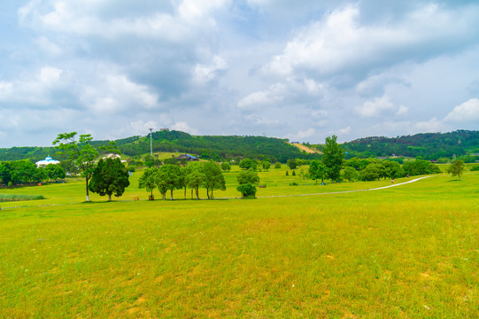 湖北武汉木兰草原风景区初夏风光