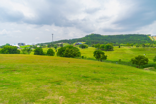 湖北武汉木兰草原风景区初夏风光