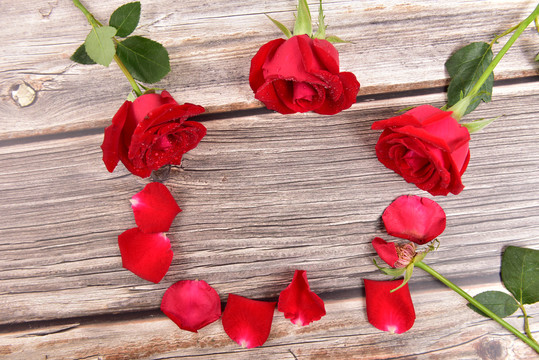 木板上的红色玫瑰花