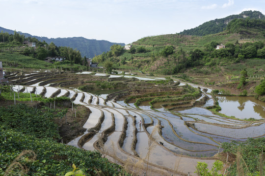 宜宾梯田