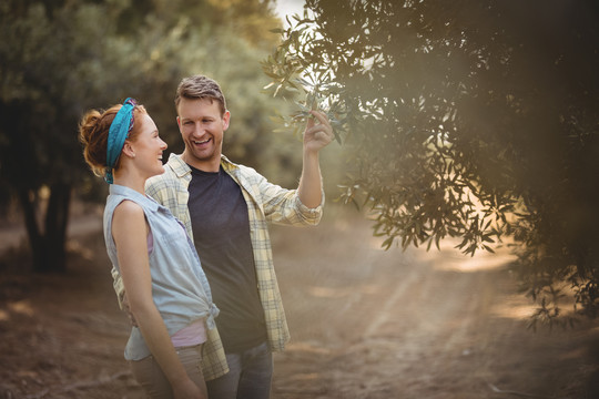 年轻夫妇站在农场的橄榄树旁