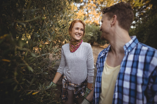 快乐的年轻夫妇站在橄榄树旁