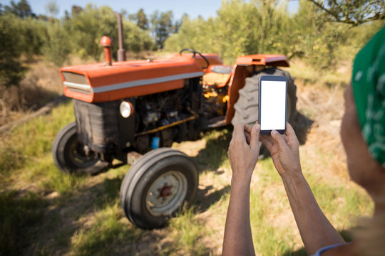 在橄榄农场使用手机的女人