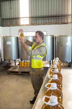 男性技术员检查橄榄油