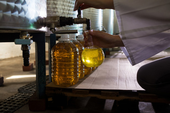 女技师检查橄榄油的中段