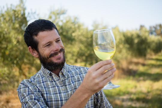 微笑的男人看着橄榄园里的酒杯
