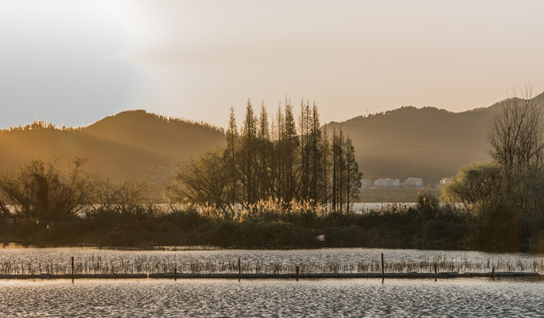 滇池湿地风光